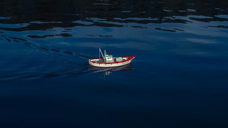 Gdzie kupić modele do składania online?