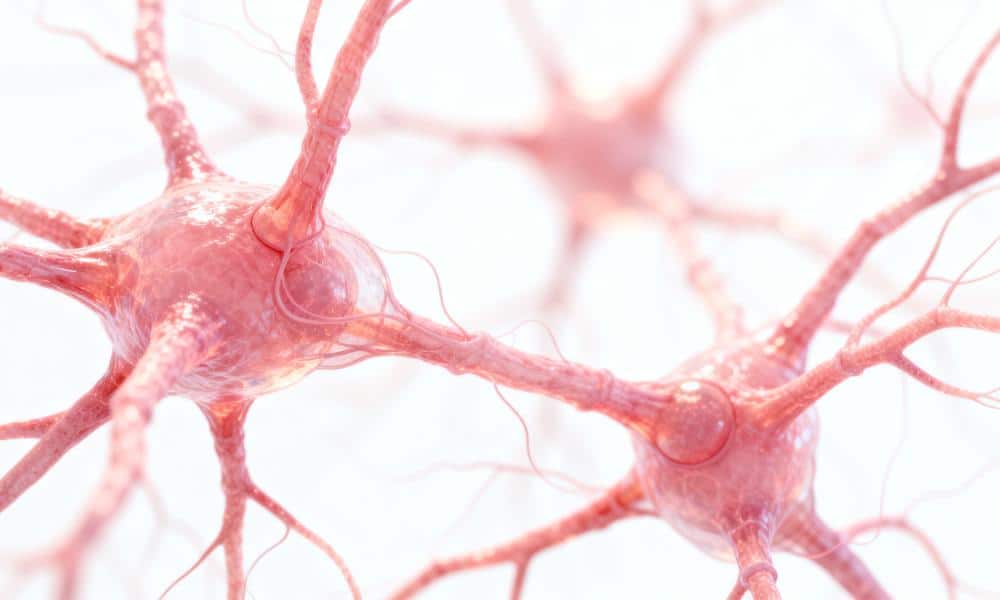 Jak symulacje komputerowe zmieniają naukę – od cząsteczek do galaktyk